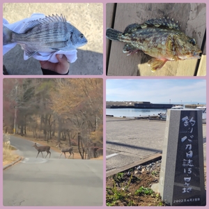 img1763523271525.jpgのサムネイル画像のサムネイル画像